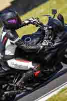 Lower Group Silver_Grey Bikes